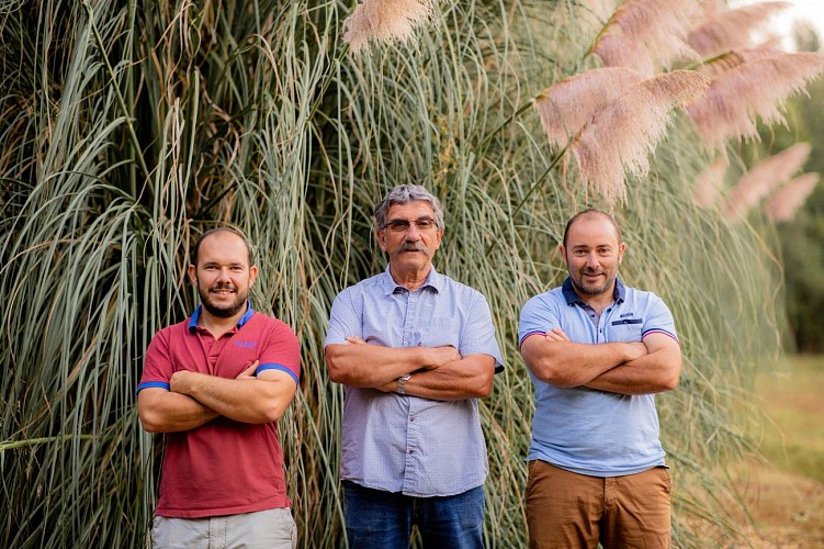 Domaine de Carbonnieu (1)