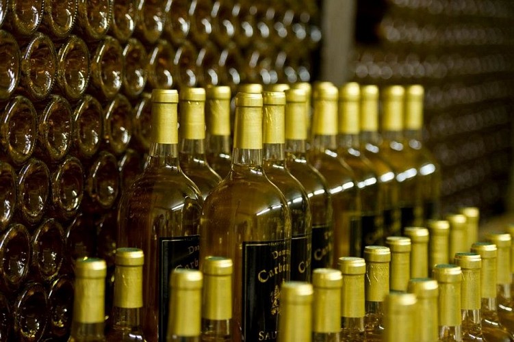 Domaine de Carbonnieu 4