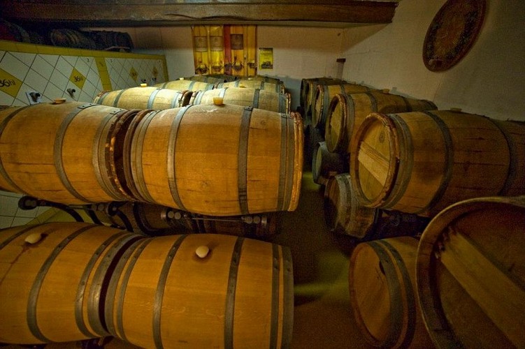 Domaine de Carbonnieu 2