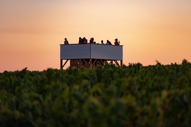 Château La Tour Blanche - BOMMES - Sud-Gironde 3