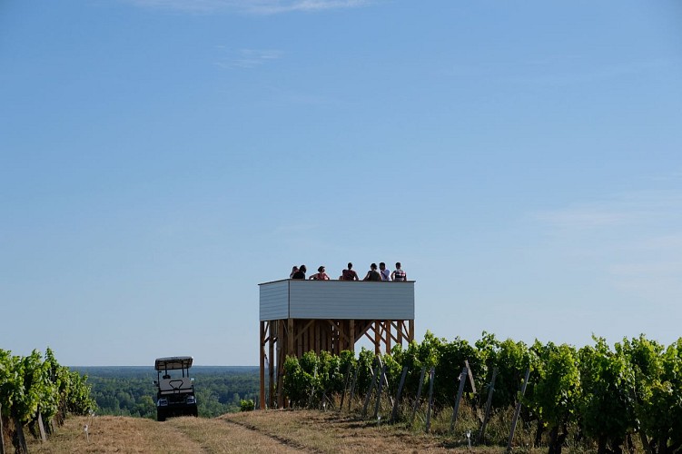 Château La Tour Blanche - BOMMES - Sud-Gironde