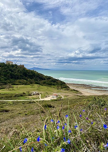 Plage d'Erretegia (37)
