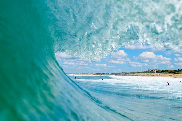 Marinella-©RiBLANC-24