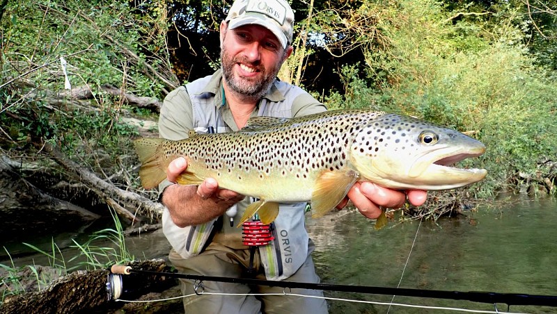 Truite capturée à la mouche