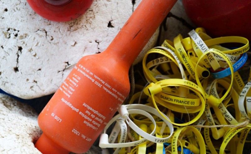 Design sans titre - 1