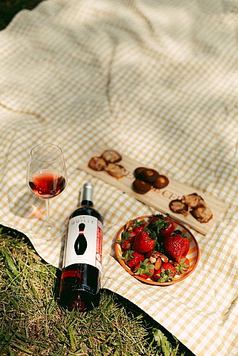 Chateau de Cerons - la Gironde du Sud © Studio Fuendo00035