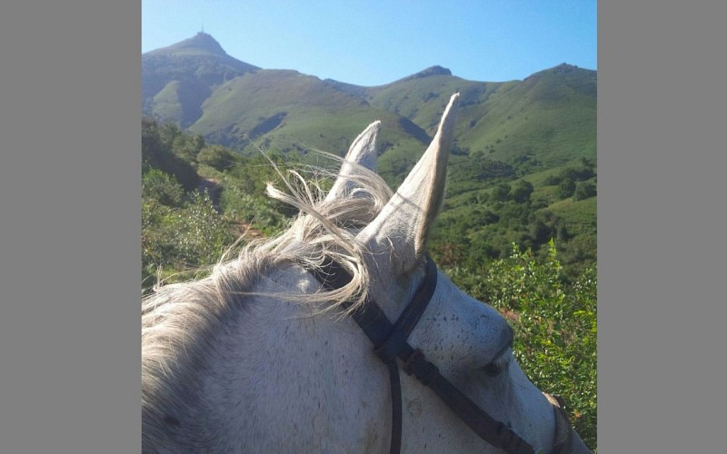 IMG-20160331-WA0020-1440x900