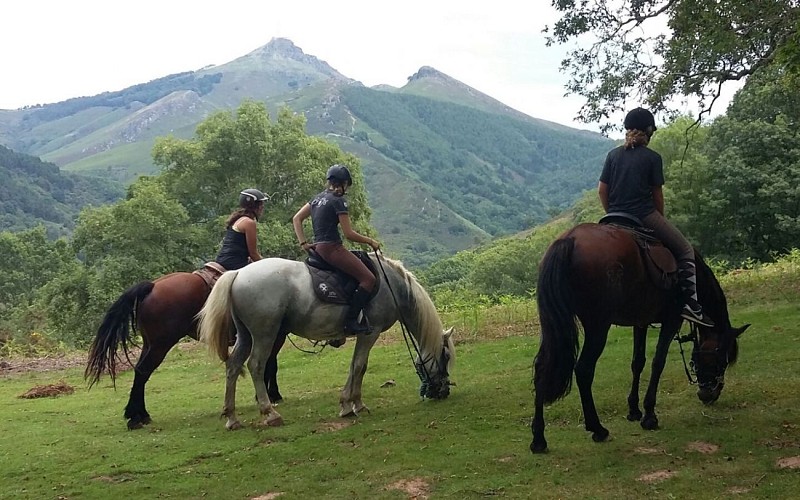 IMG-20160331-WA0008-1440x900