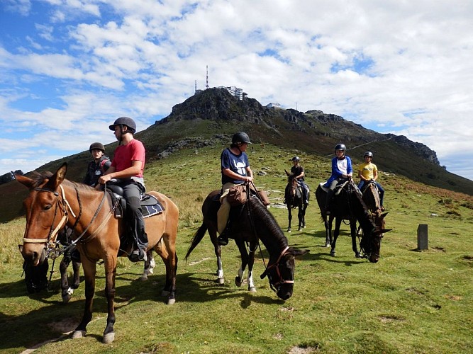 larrun alde mules rhune 1