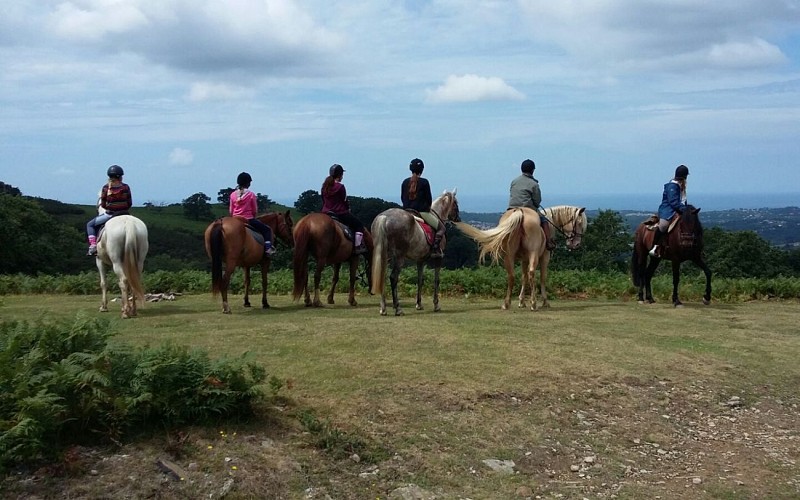 IMG-20160331-WA0011-1440x900