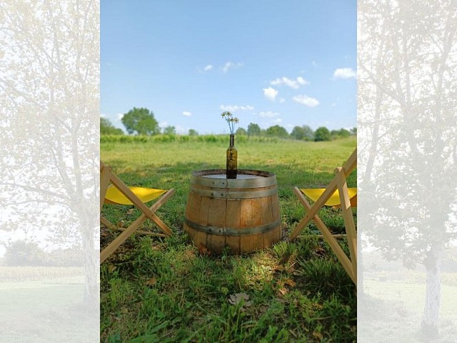 Sirtaqui 800*600 - Domaine Sentout