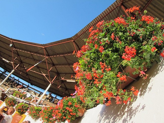 Roquefort - Course Landaise - Copyright J.M Tinarrage (4)