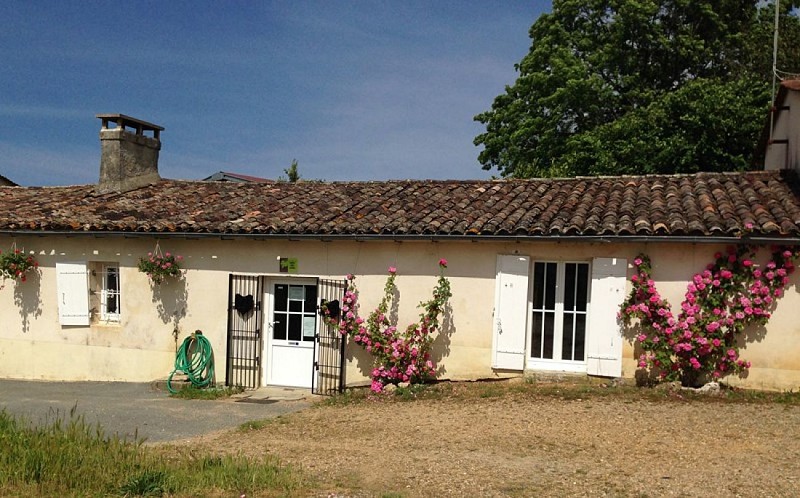 Domaine de la Gauche - BOMMES - Sud-Gironde