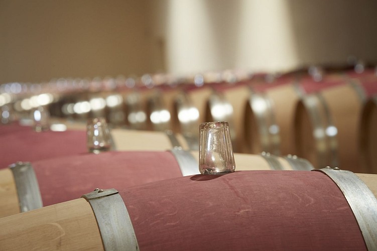 Château Phélan Ségur - Bondes en verre