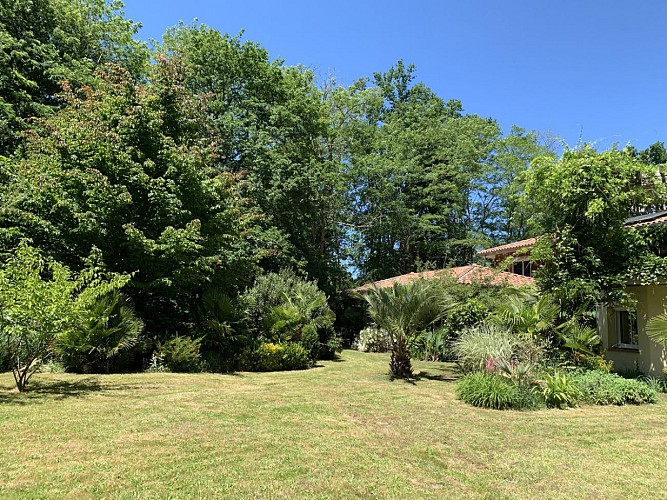 Le-habre-Charlotte-2019--24