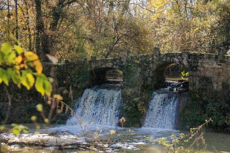 ITIAQU047FS000B5-Le-Frechou-7