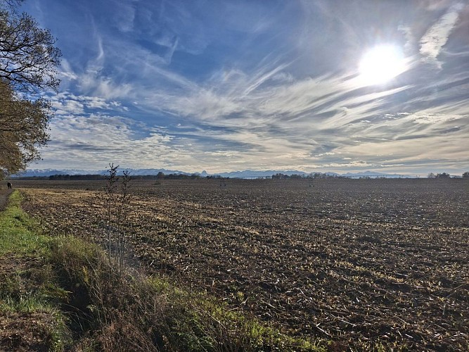 Montardon Pau aire de pique-nique @CBM nov 2025 (2)