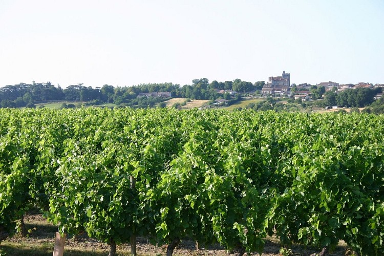 Vue Xaintrailles_Albret Tourisme