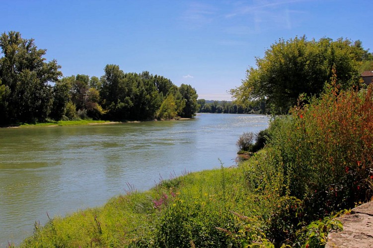 ITIAQU047FS000C8-Thouars-4