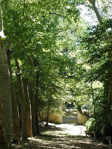 Parc du Moulin des Tours