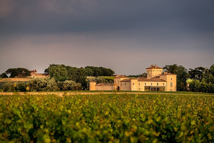 Château Lafaurie Peyraguey - BOMMES - Sud-Gironde