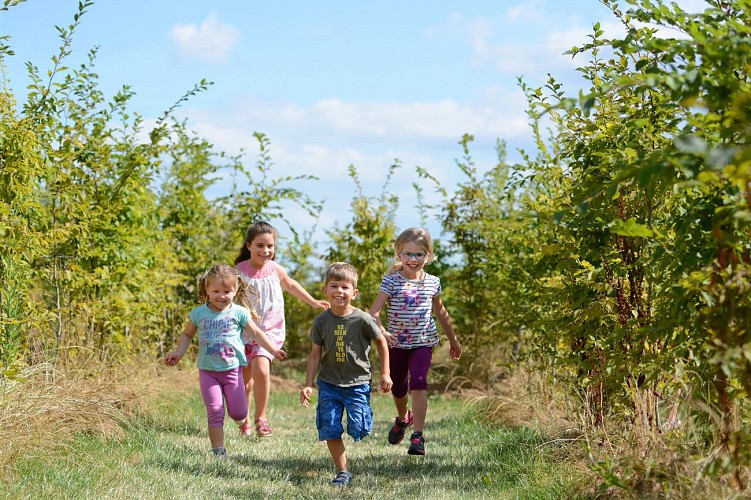 labyrintruche--pw--9540