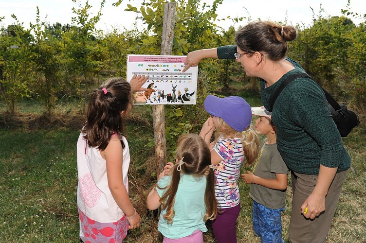 labyrintruche (pw) 9986.jpg_2