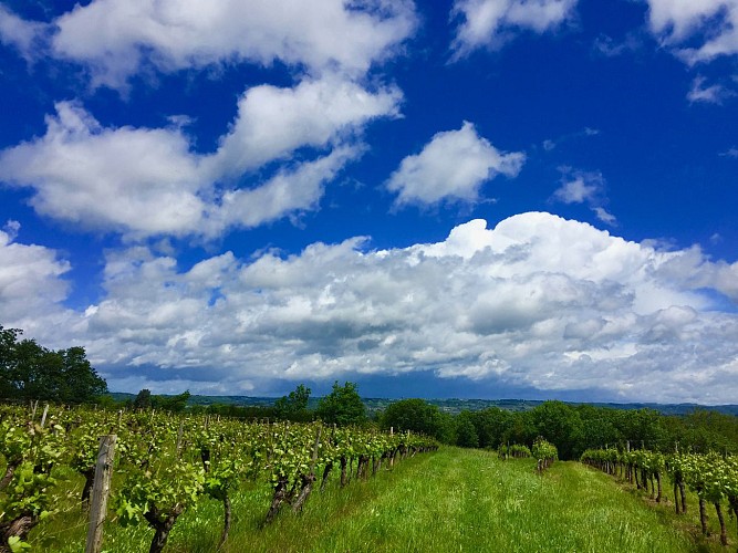 La Tourbeille Vignoble sur la colline, ciel