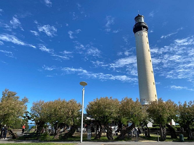 plateau du phare