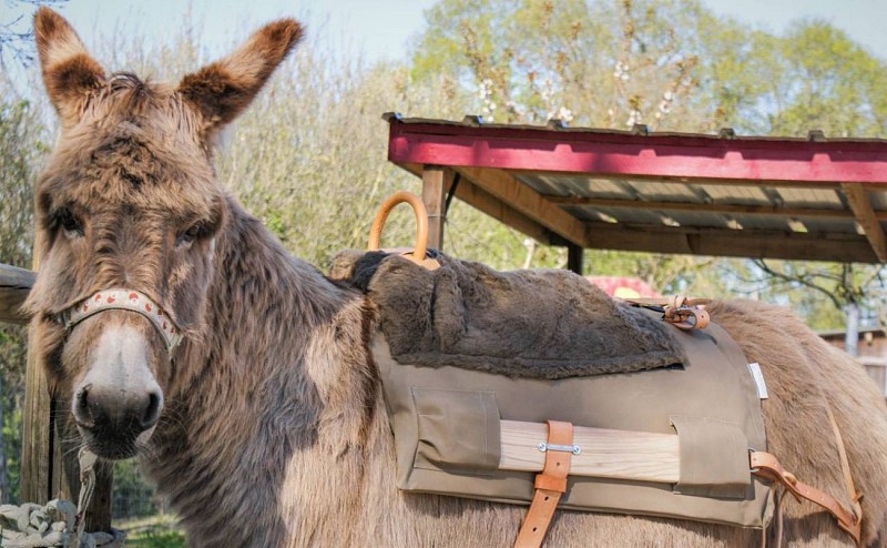 chipsbate_copyright-quentincornet-dcala-2