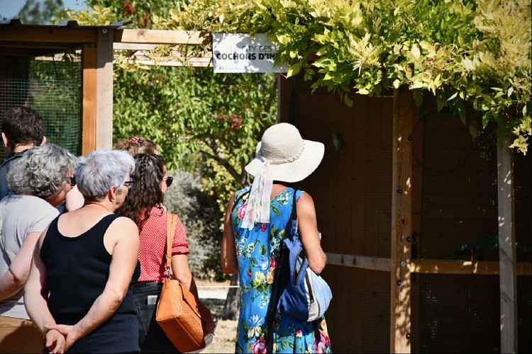 Animations animalières quotidiennes