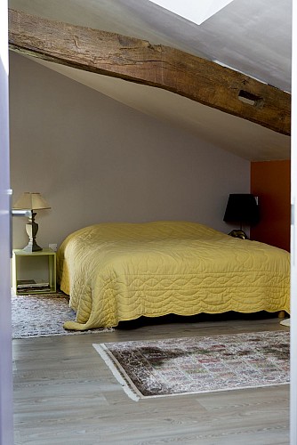 Des pins et des chênes _01A0927