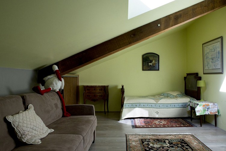 Des pins et des chênes _01A0909