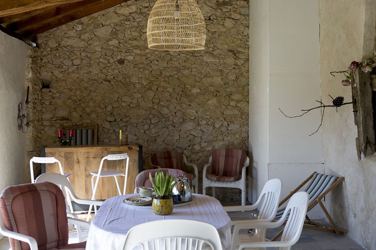 Des pins et des chênes _01A1008