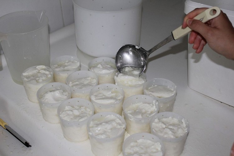 Producteur - Eleveur - Betbezer - Ferme de l'Hecso - Fromagerie