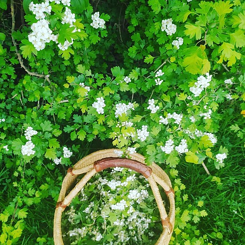 175012801_604043780994333_5938507688248033385_n