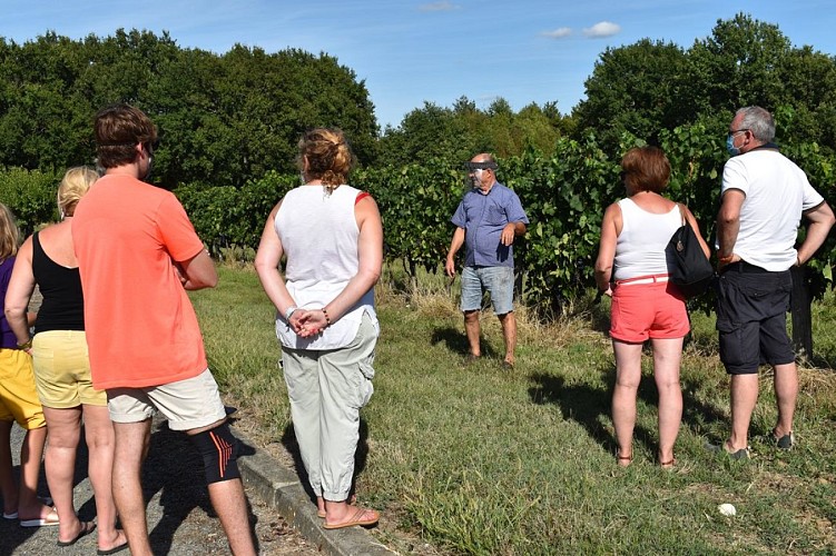 Domaine Amblard aout2020 (12)