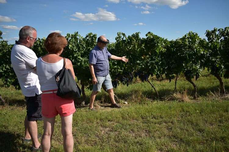 Domaine Amblard aout2020 (1)réduit