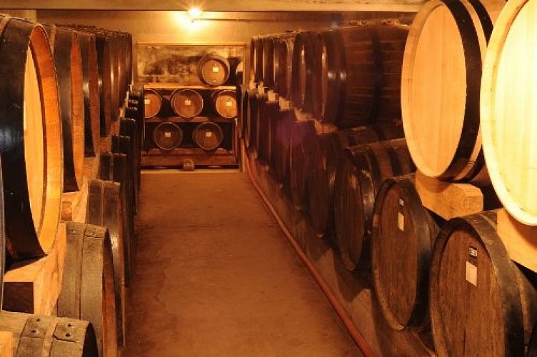 DEG_Calignac_DomaineLapeyrade_ChaiArmagnac