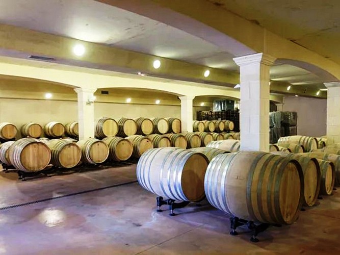 Domaine Grand Mayne 2024 (3)