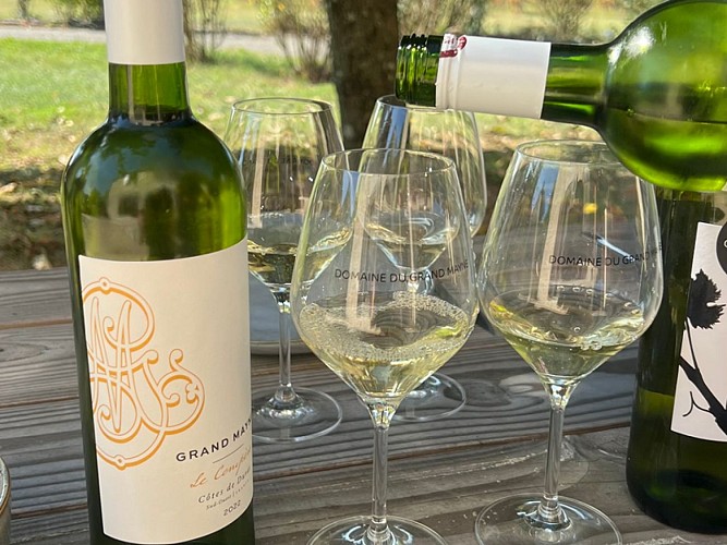 Domaine Grand Mayne 2024 (8)