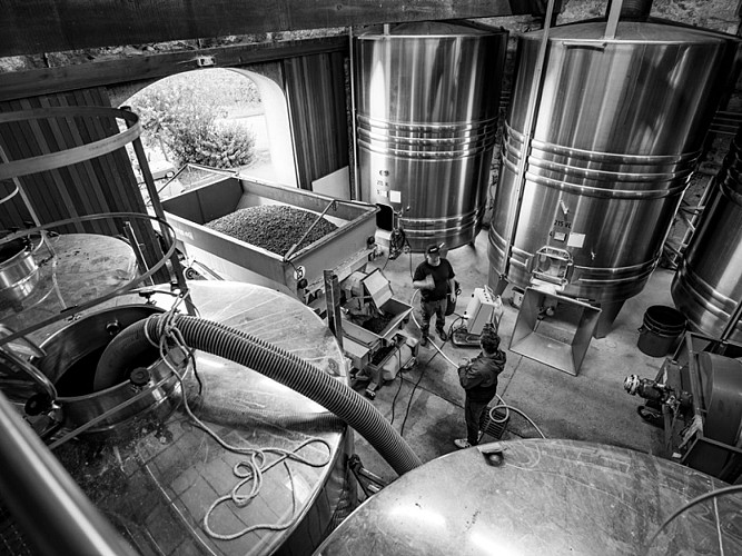 Domaine Grand Mayne 2024 (12)