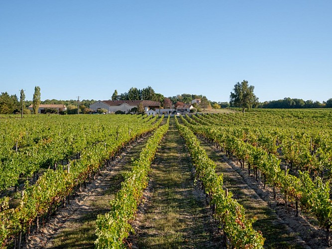 Domaine Grand Mayne 2024 (14)