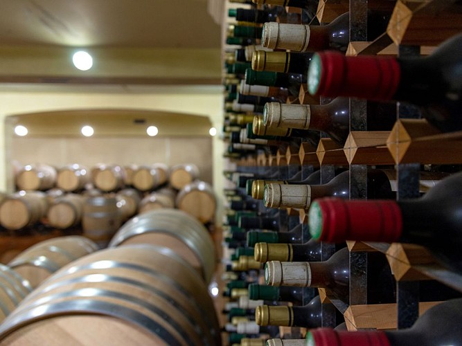 Domaine Grand Mayne 2024 (6)