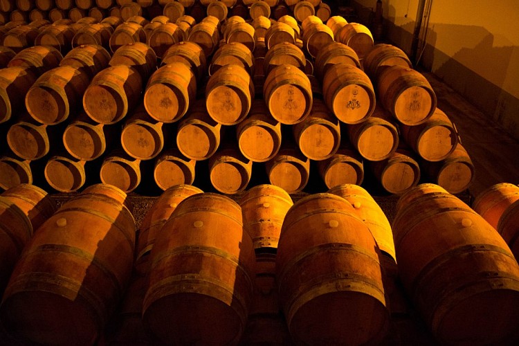 DEGAQU047FS0002I-VigneronsBuzet-2