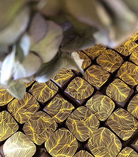 choc gc