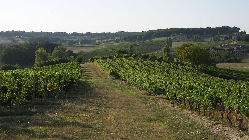 Château Bois Clair - Frédéric SERNAGLIA