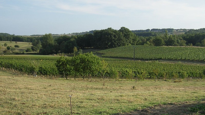 Château Bois Clair - Frédéric SERNAGLIA