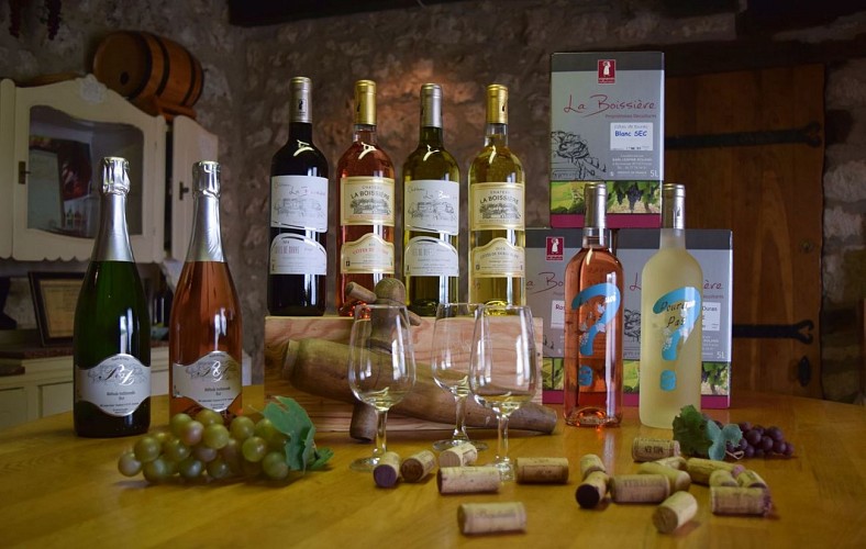 autour-duras-chateau-la-boissiere--24--2