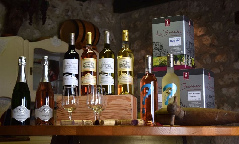 autour-duras-chateau-la-boissiere--13--2